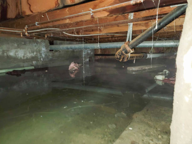 Best Basement water damage restoration  in Colby, KS