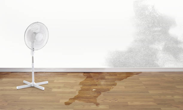 Best Flood restoration services  in Colby, KS