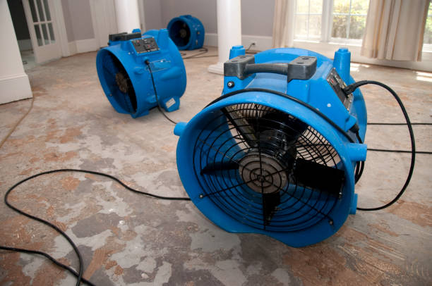 Best Water damage repair service  in Colby, KS