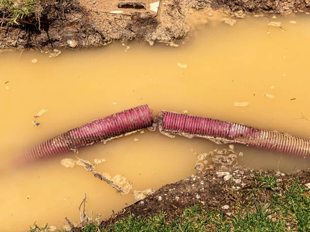 Colby, KS Water damage restoration Pros
