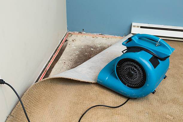 Best Water damage repair service  in Colby, KS